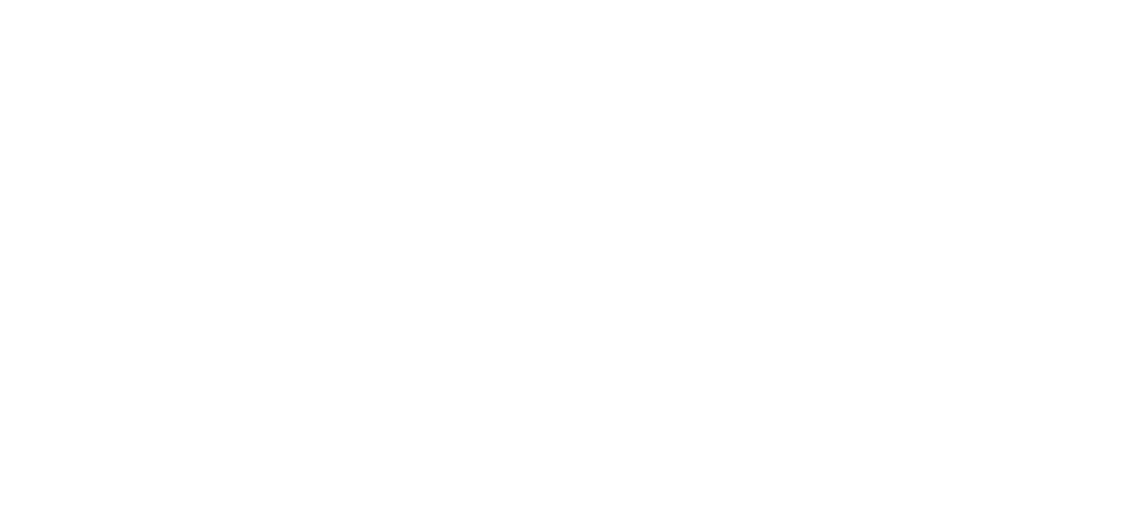 Logo Rise S.r.l.